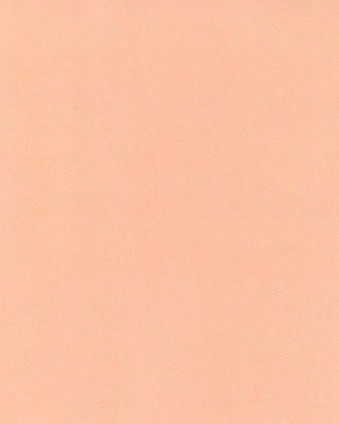 Hattan Palette | 22 Usu Daidai